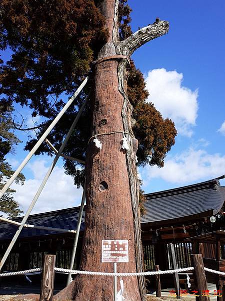 pic pimg tw look2up 1498893068 898789013 n jpg