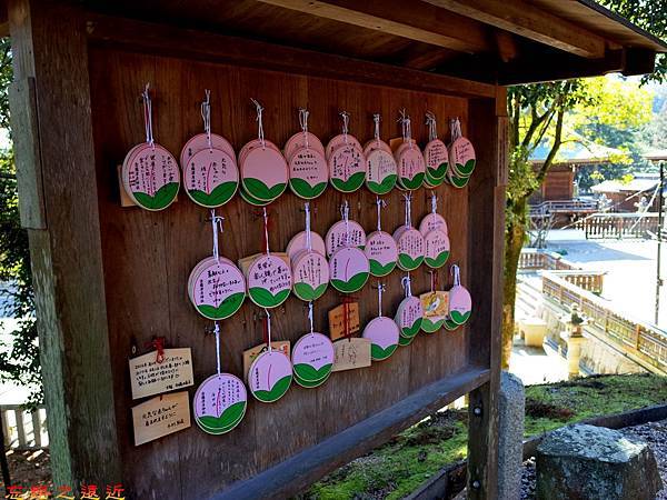 pic pimg tw look2up 1498893124 1436759240 n jpg