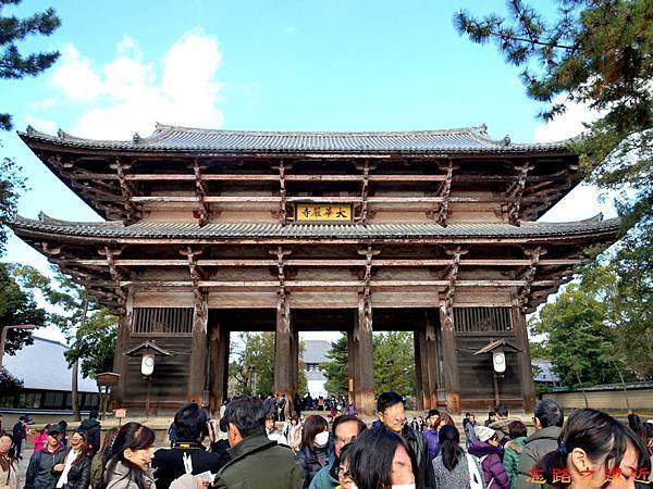 pic pimg tw look2up 1500783525 3430025838 n jpg