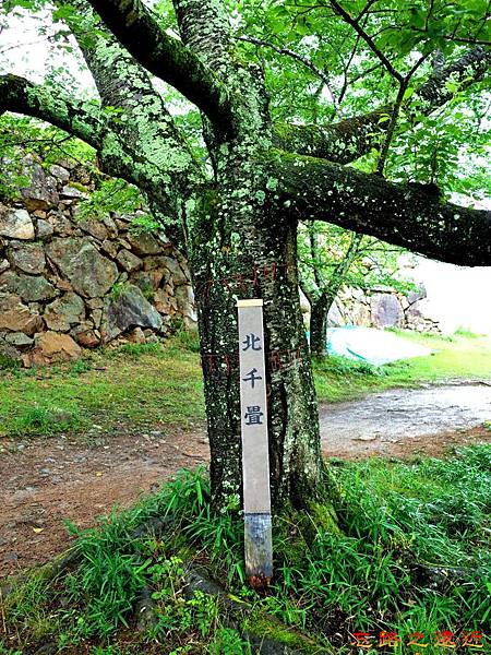【關西.兵庫】天空之城「竹田城跡」半日遊 -- 到郭梯式山城散散心 30 pic pimg tw look2up 1501398955 3954345760 n jpg