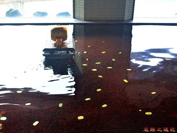 pic pimg tw look2up 1506329759 1102467739 n jpg