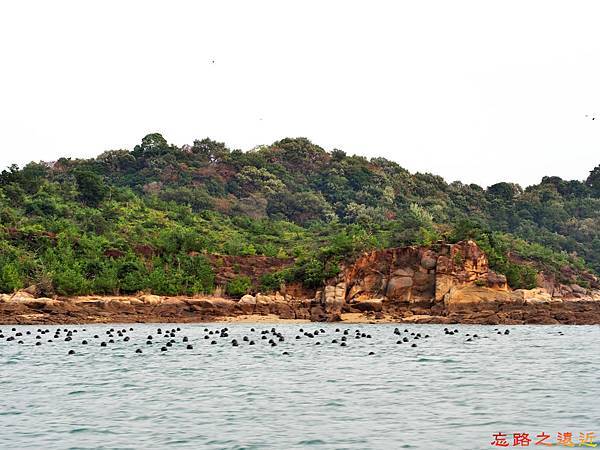 pic pimg tw look2up 1510979385 1742407223 n jpg