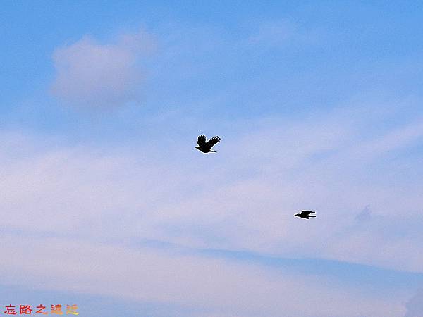 pic pimg tw look2up 1510979388 3254262731 n jpg