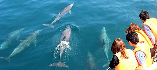 pic pimg tw look2up 1510989974 67409529 n jpg