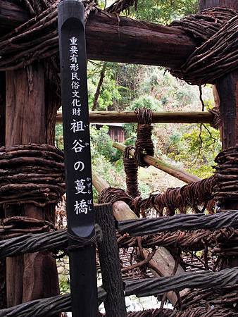 pic pimg tw look2up 1511343465 1618513985 m jpg