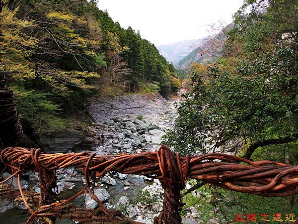 pic pimg tw look2up 1511343477 81663842 n jpg