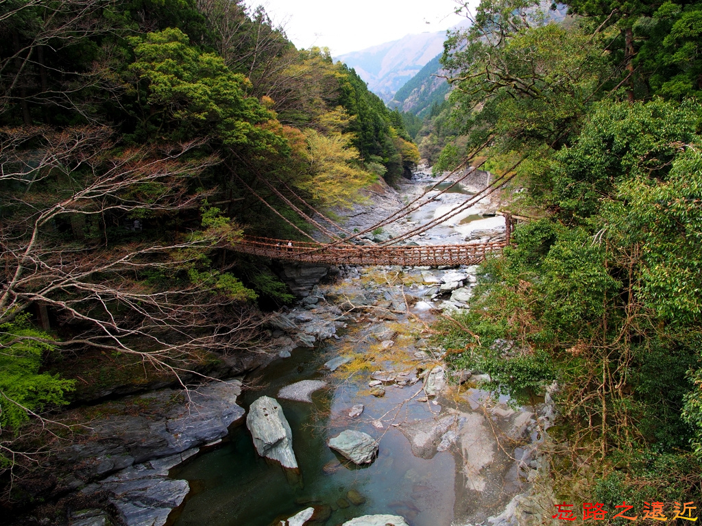 pic pimg tw look2up 1511343489 622425376 jpg