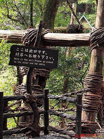 pic pimg tw look2up 1511343502 4245675324 m jpg