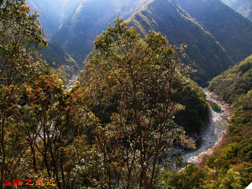 pic pimg tw look2up 1511598281 1428186745 jpg