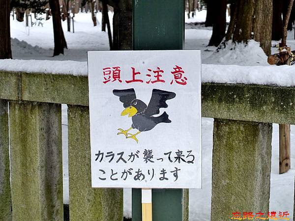 pic pimg tw look2up 1518247258 193566059 n jpg