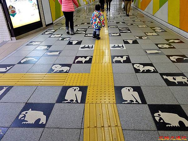 pic pimg tw look2up 1518594741 1248298839 n jpg