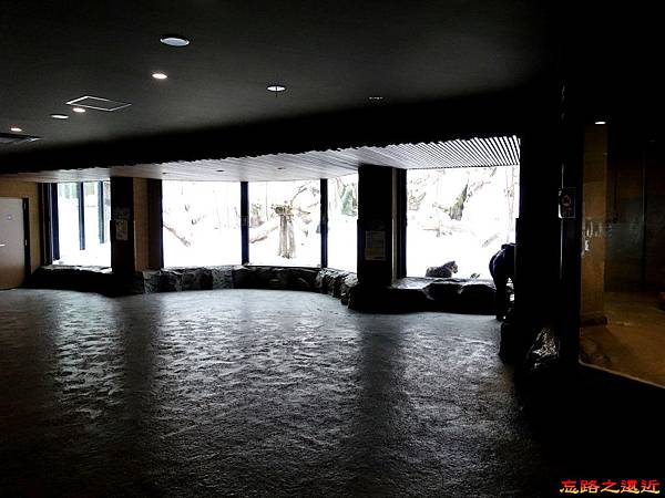 pic pimg tw look2up 1518594747 2024346122 n jpg