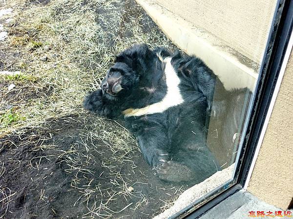 pic pimg tw look2up 1518594755 3538321272 n jpg