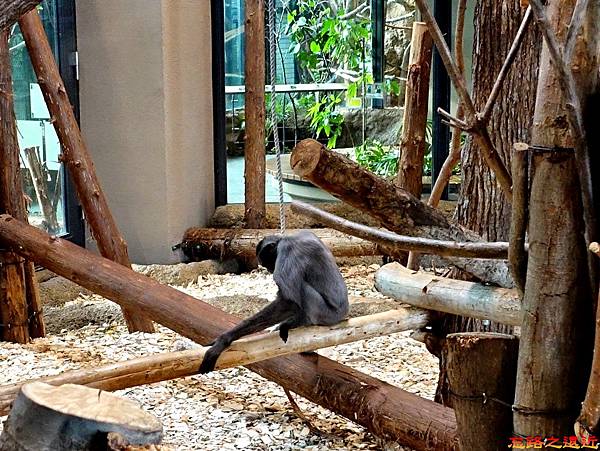 pic pimg tw look2up 1518594759 1140526306 n jpg