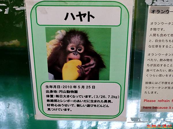 pic pimg tw look2up 1518594762 3437511268 n jpg