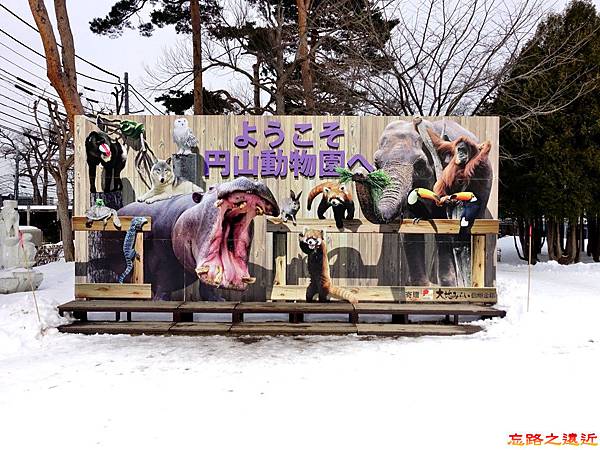 pic pimg tw look2up 1518594792 3239202193 n jpg