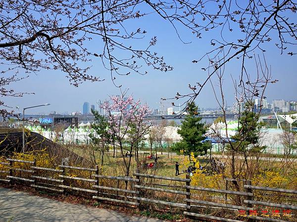 pic pimg tw look2up 1520140293 1578264380 n jpg