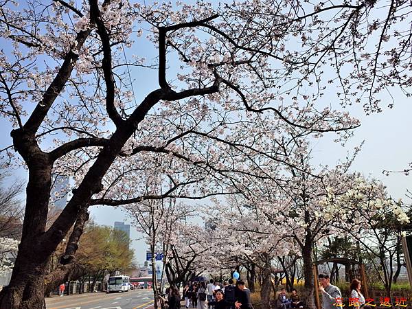 pic pimg tw look2up 1520140354 3889717112 n jpg