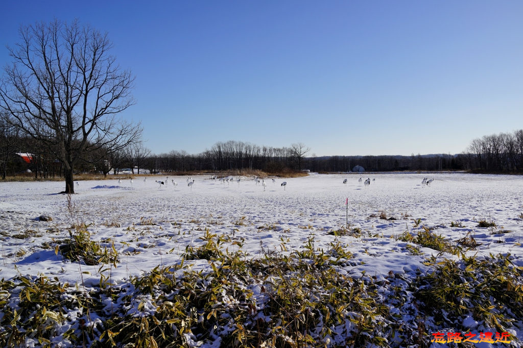 pic pimg tw look2up 1524984085 2177298341 jpg