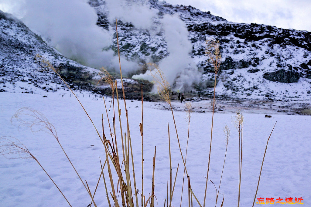 pic pimg tw look2up 1525582184 2380555915 jpg