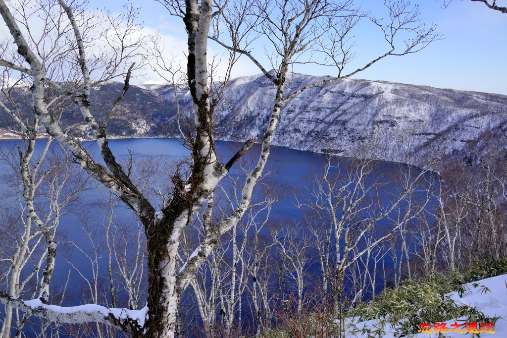 pic pimg tw look2up 1525582270 3561819035 jpg