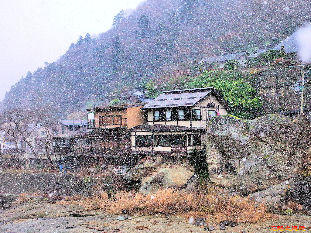 pic pimg tw look2up 1533266059 1203238543 jpg