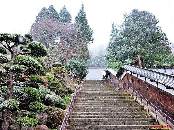 pic pimg tw look2up 1533266061 2603626393 n jpg