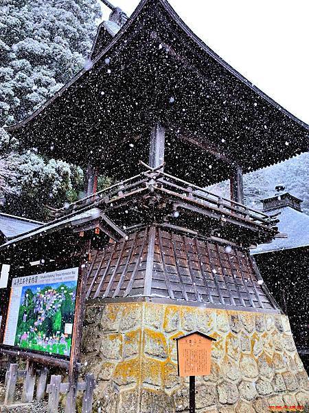 pic pimg tw look2up 1533266070 3953730386 n jpg