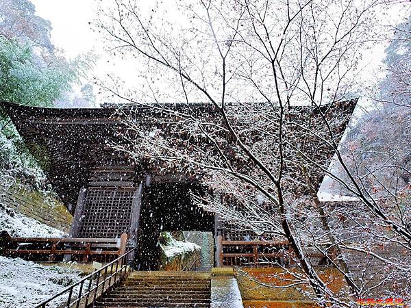 pic pimg tw look2up 1533266082 597974784 n jpg