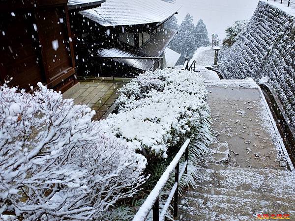 pic pimg tw look2up 1533266085 1798303502 n jpg