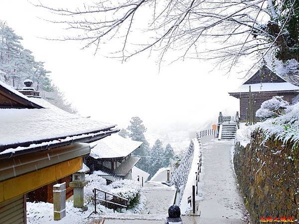 pic pimg tw look2up 1533266091 721446573 n jpg