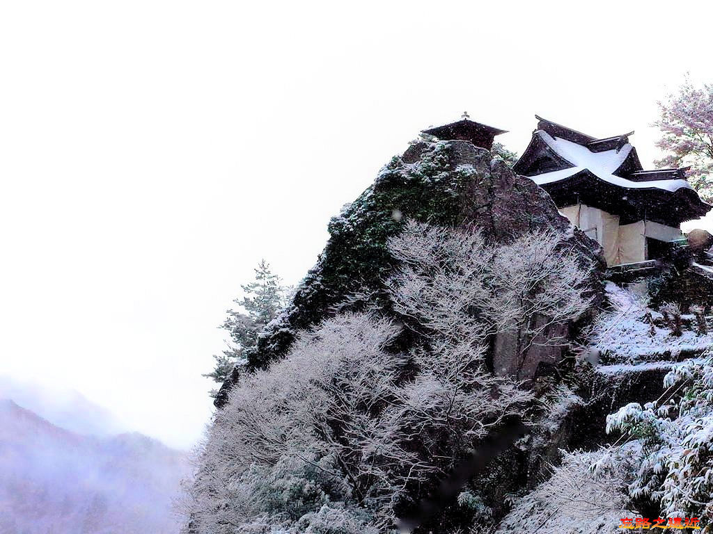 pic pimg tw look2up 1533374216 2430902746 jpg