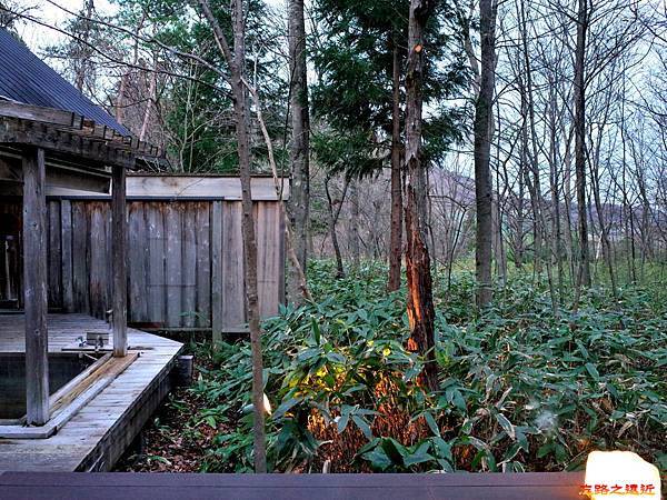 pic pimg tw look2up 1536044269 604751137 n jpg