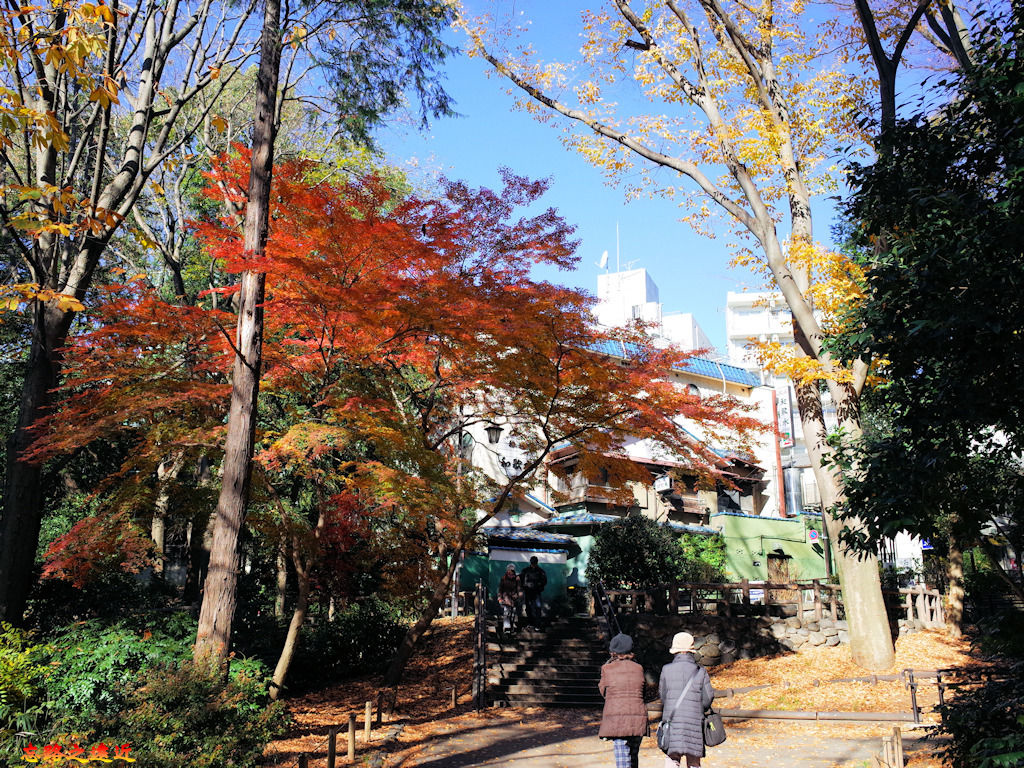 pic pimg tw look2up 1537002856 3211190425 jpg