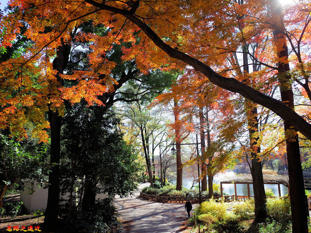 pic pimg tw look2up 1537002857 3948267607 jpg