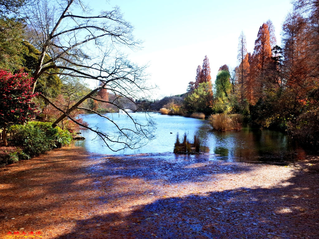 pic pimg tw look2up 1537002869 3200679593 jpg