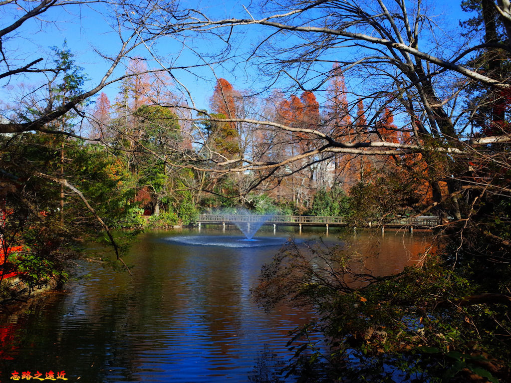 pic pimg tw look2up 1537002873 3284737090 jpg