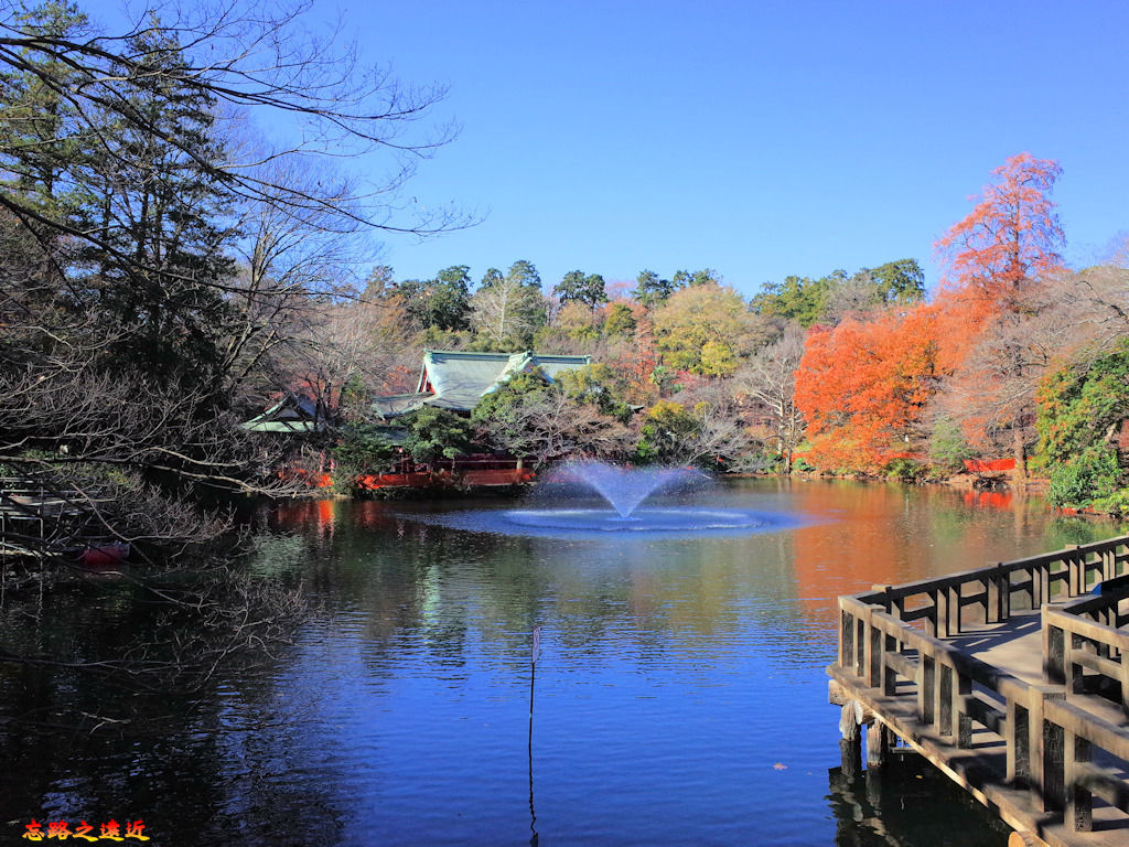 pic pimg tw look2up 1537002875 2860933090 jpg