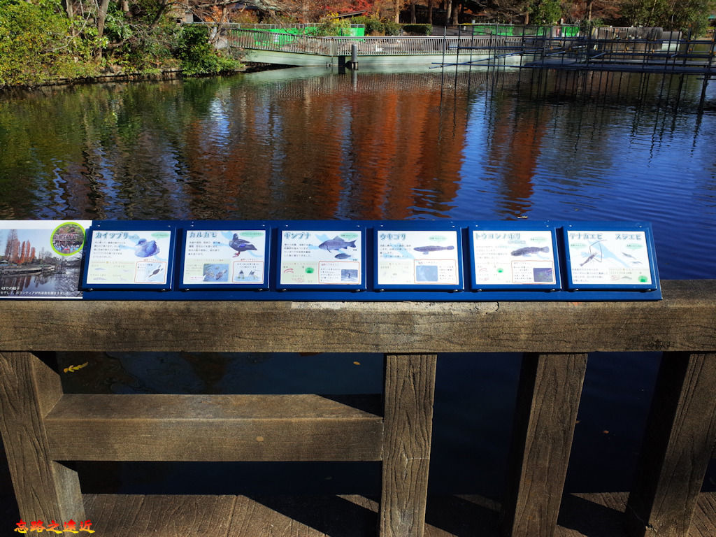 pic pimg tw look2up 1537002876 2638300444 jpg