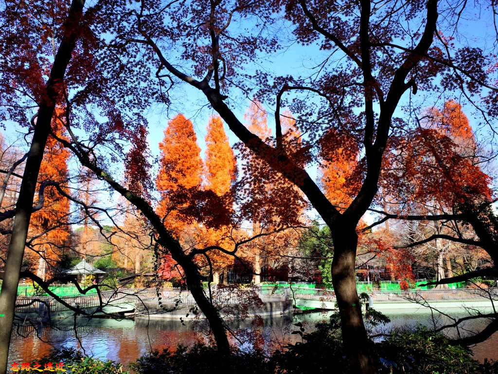 pic pimg tw look2up 1537002877 1348158404 jpg