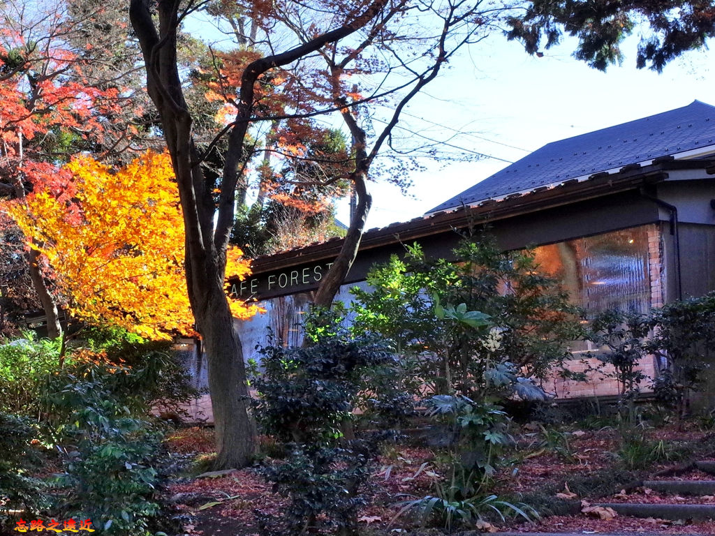 pic pimg tw look2up 1537002879 1297561024 jpg