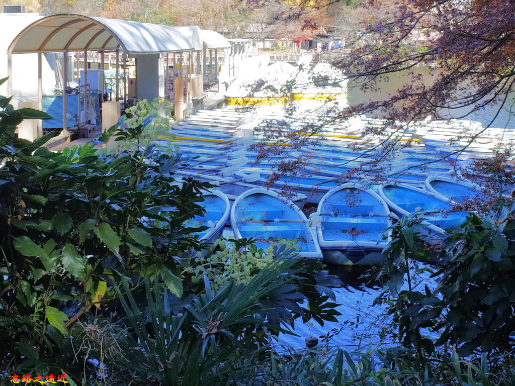 pic pimg tw look2up 1537002881 2237625237 jpg