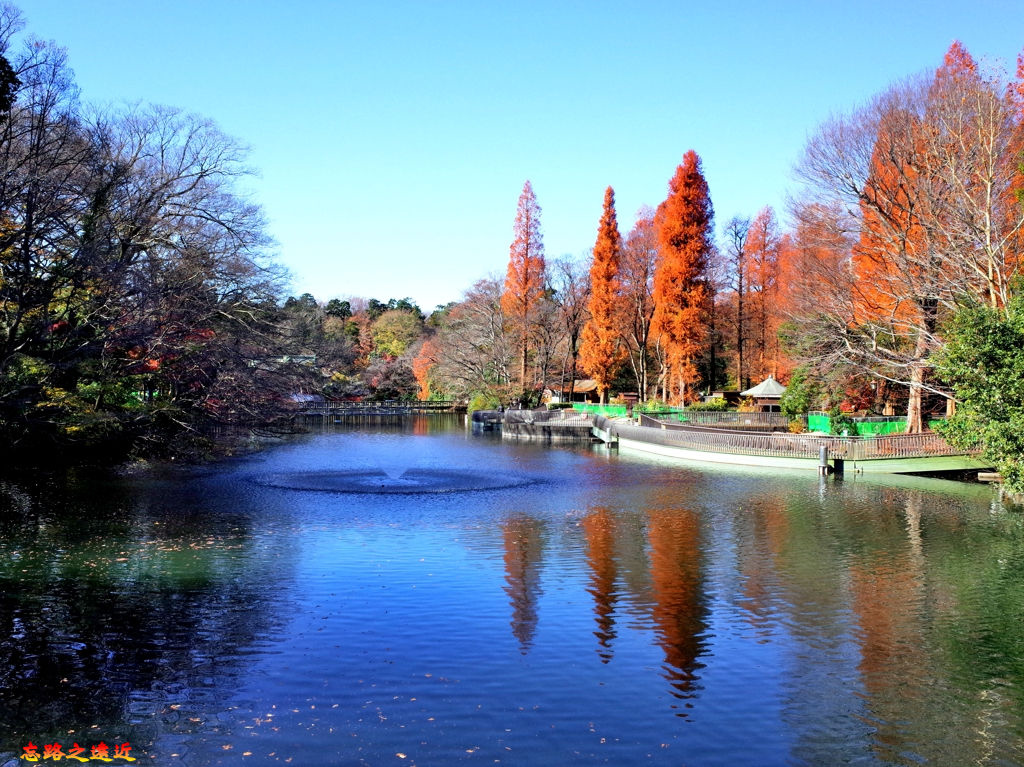 pic pimg tw look2up 1537002882 1946192856 jpg