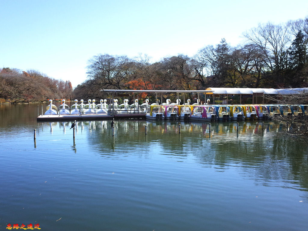 pic pimg tw look2up 1537002884 2239702234 jpg