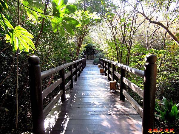 pic pimg tw look2up 1540265444 4183001616 n jpg