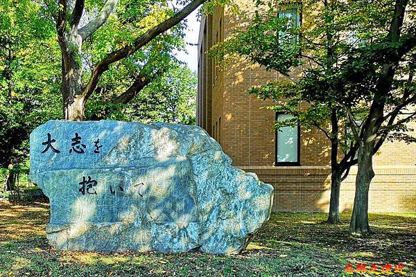 【北海道.札幌】「羊之丘展望台」必賞與必做詳細介紹 (冬季景觀、交通) 11 pic pimg tw look2up 1541432814 740130901 n jpg