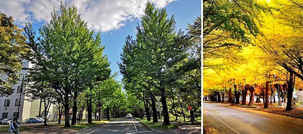 【北海道.札幌】札幌市區10大必遊景點詳細深入介紹(含 各景點交通、旅遊重點) 25 pic pimg tw look2up 1541432815 607971017 n jpg
