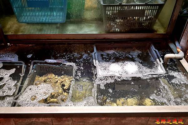 pic pimg tw look2up 1542277694 4049239323 n jpg