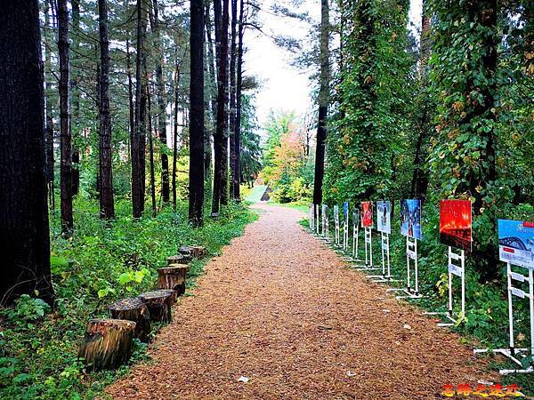 pic pimg tw look2up 1542682179 3556871485 n jpg