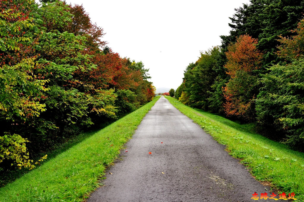 pic pimg tw look2up 1542682188 302412547 jpg